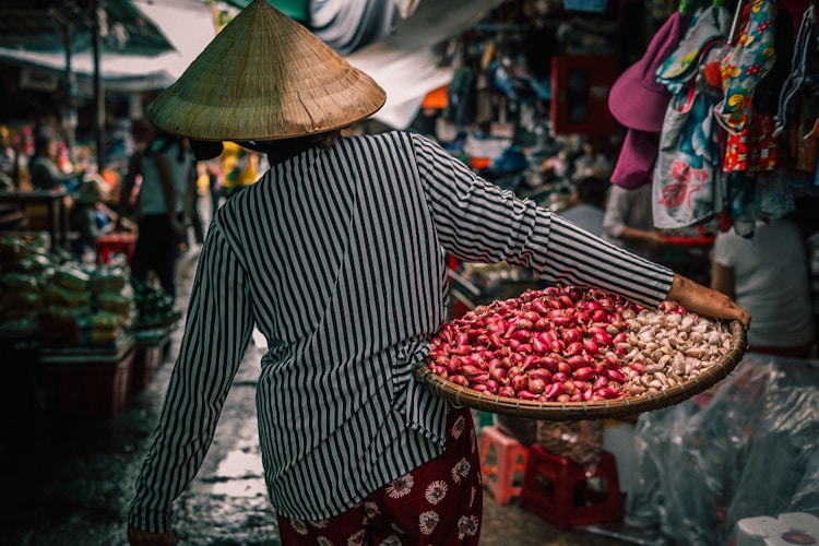 越南旅游气候,越南气候图插图