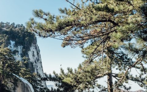 西安去华山一日游多少钱,西安旅游团去华山旅游攻略