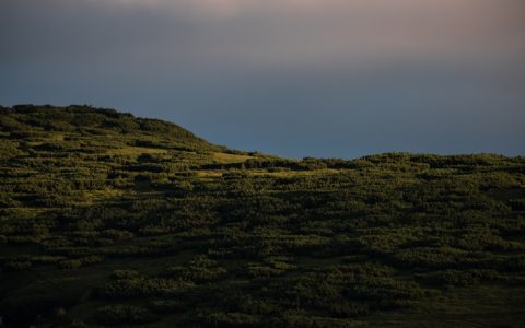 草原旅游景色描述怎么写,草原旅游风景
