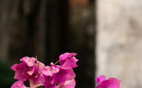 江西婺源旅游景区,江西婺源篁岭旅游攻略