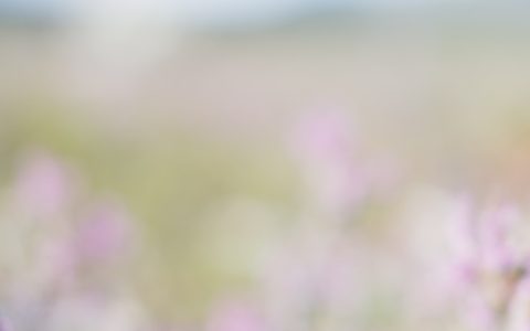 杨凌免费旅游景点大全一日游,杨凌周边免费一日游